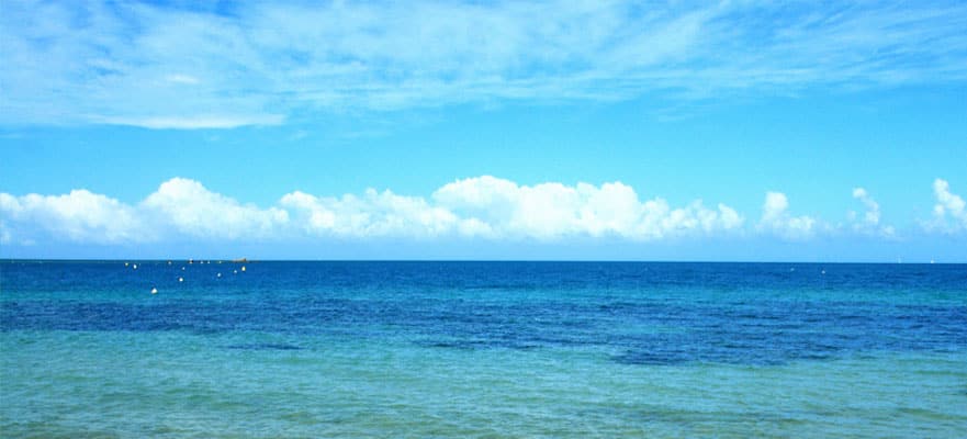 /sites/default/files/NOU_MW_881x400 (2).jpg